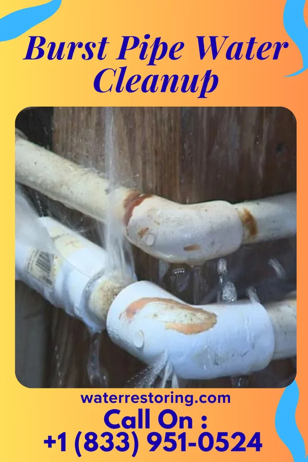 Burst Pipe Water Cleanup in Wortham, TX