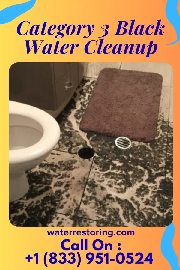 Category 3 Black Water Cleanup in Wortham, TX