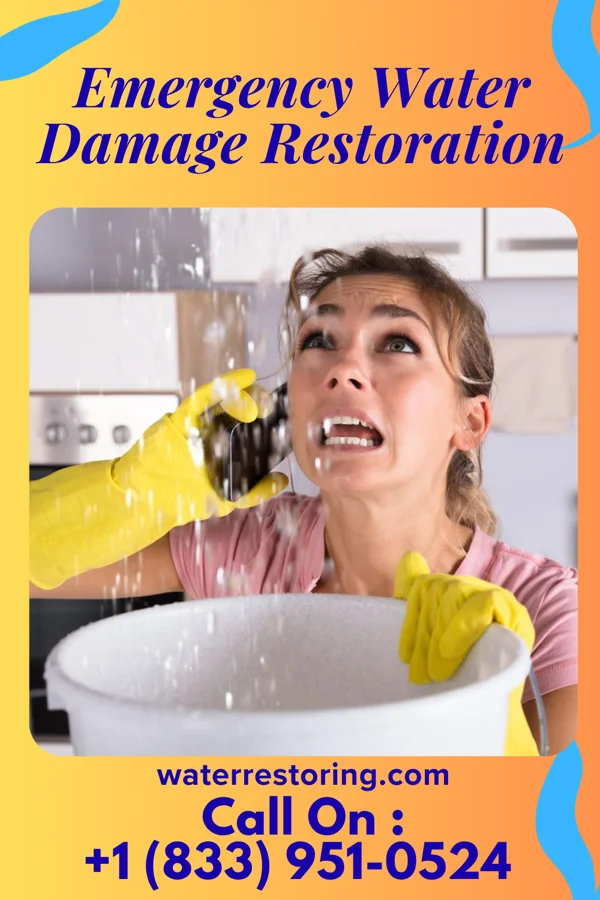 Emergency Water Damage Restoration in Wortham, TX